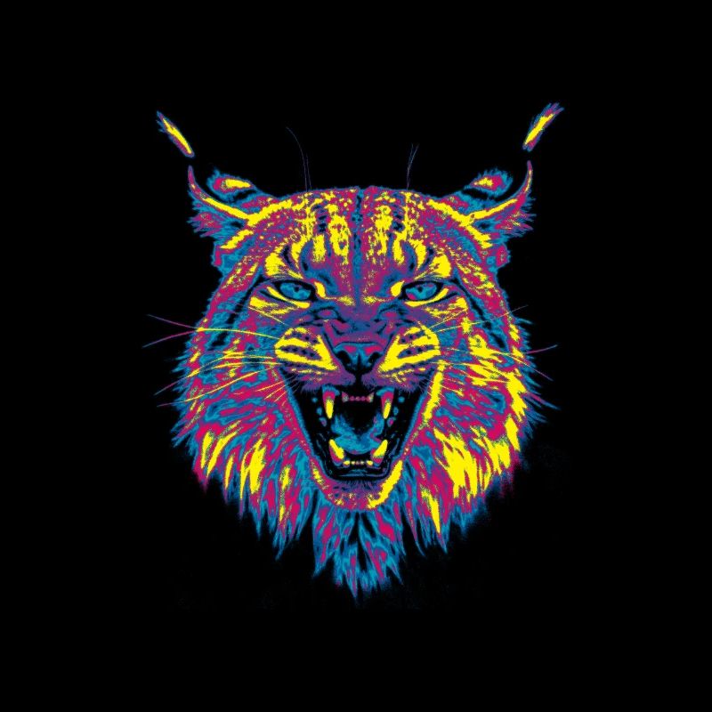 Farbiger Luchs