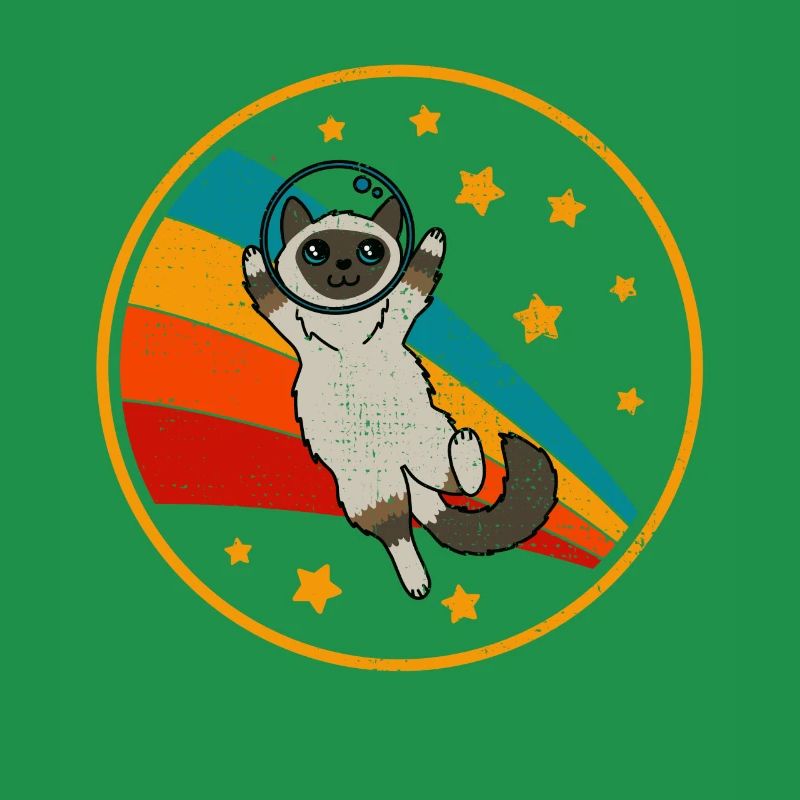 Burmese Birman Cat Space Cat