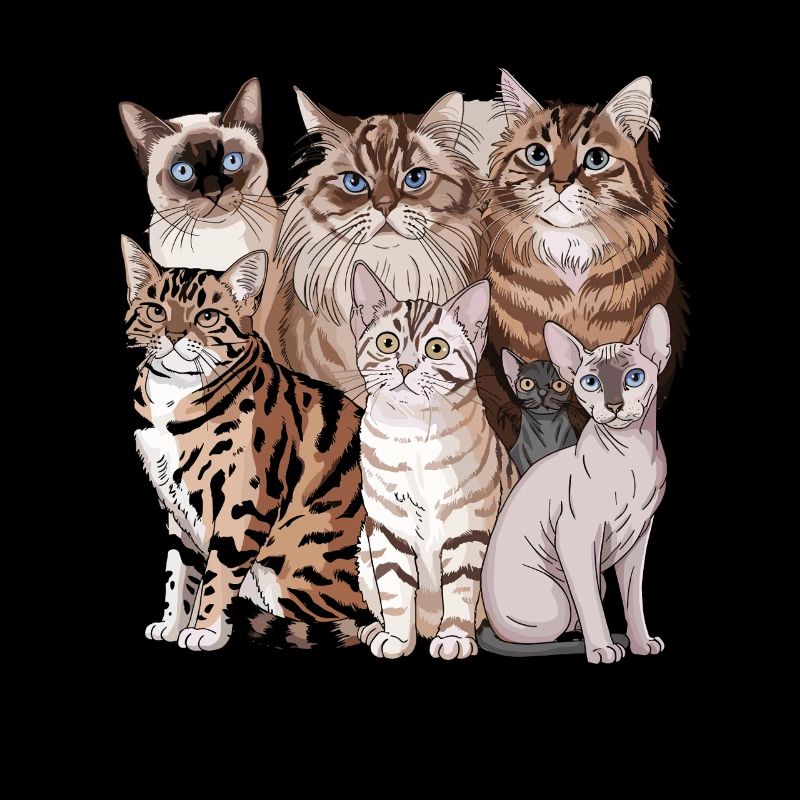 Different cat breeds illustration