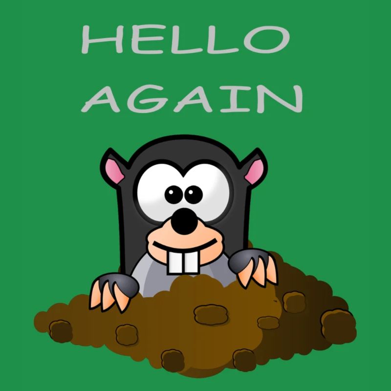 Maulwurf Hello Again