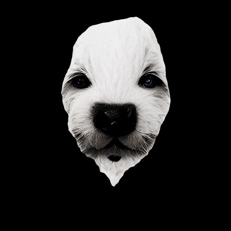 Visage de chiot