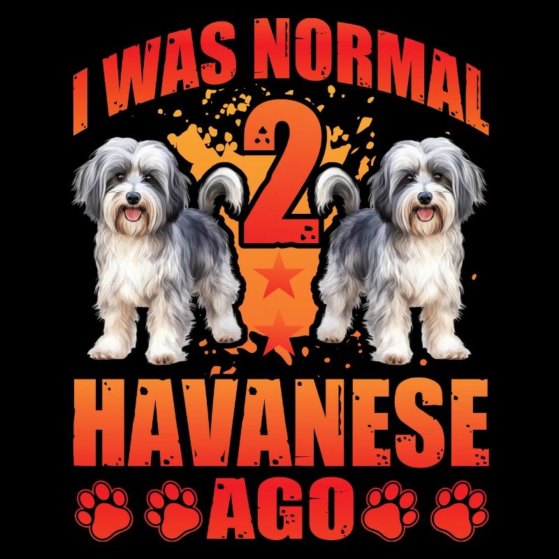 I was normal 2 Havanese ago