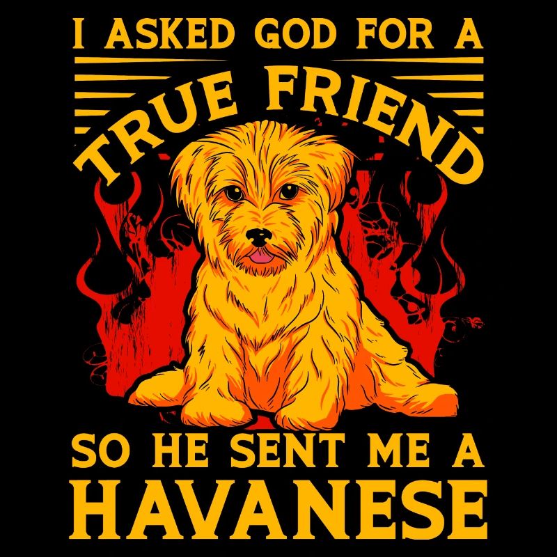 J’ai demandé à Dieu un véritable ami, il m’a envoyé du bichon havanais