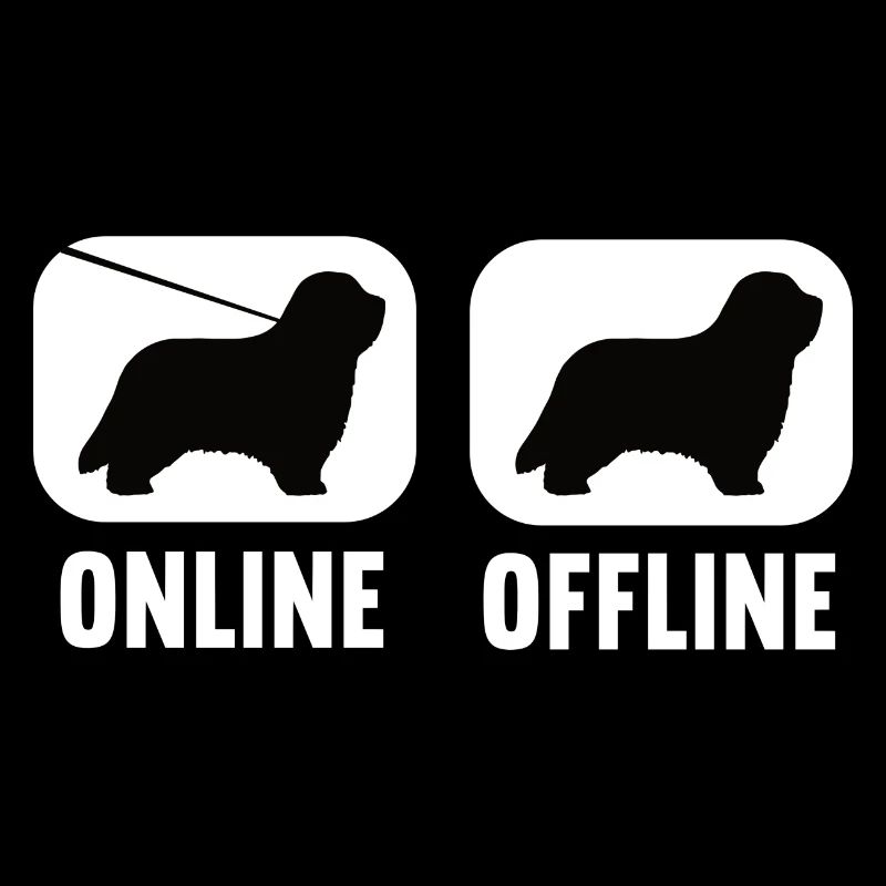Online Offline Bearded Collie Bearded Collies