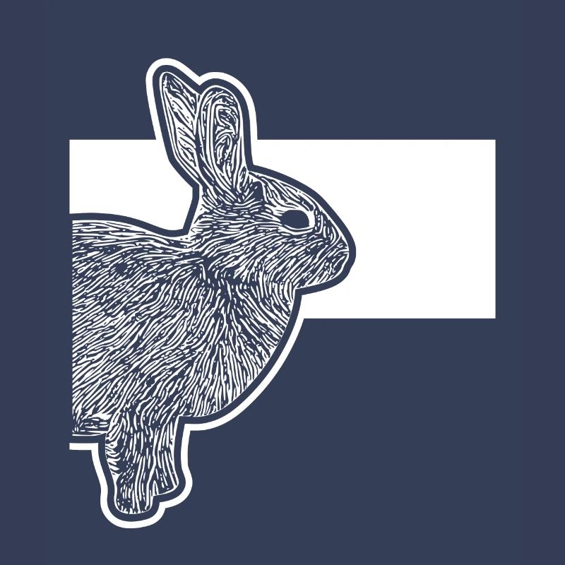 Cute Dwarf Rabbit Rabbit Breeder