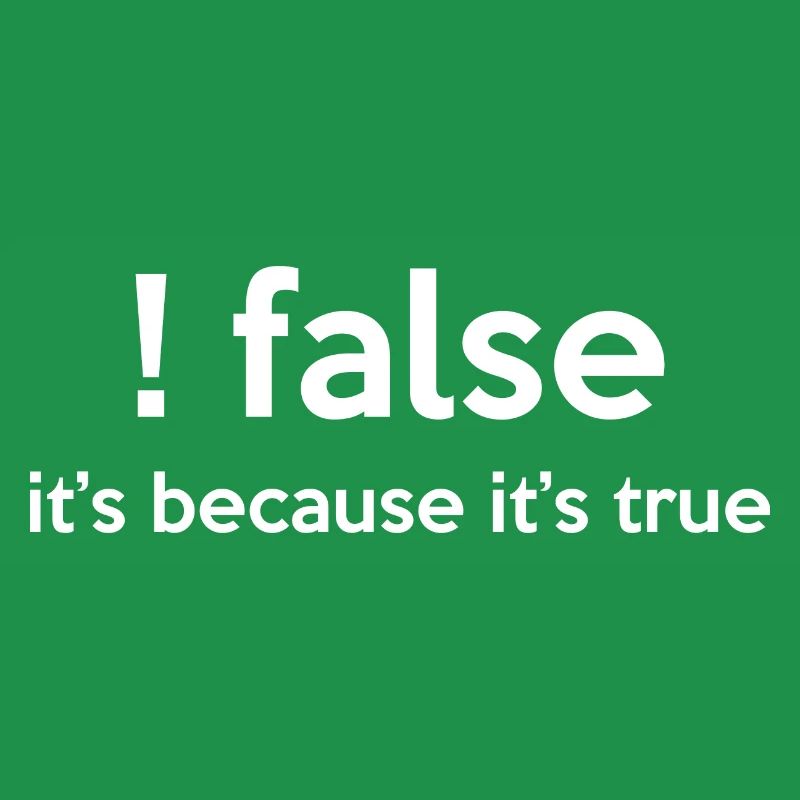 False It's Funny Because It's True Programmer Comp