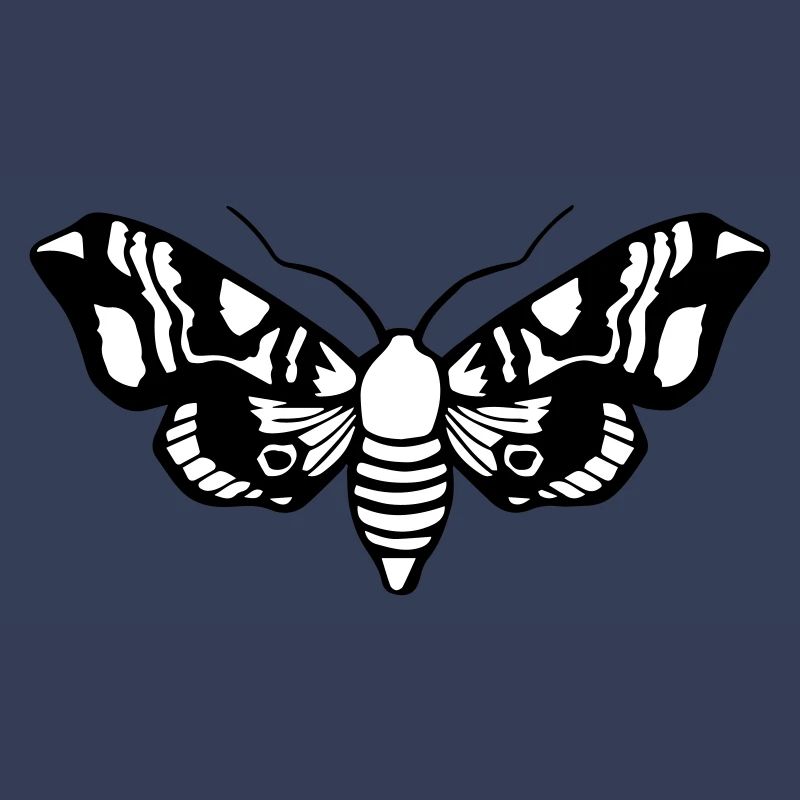 Moth / Moth