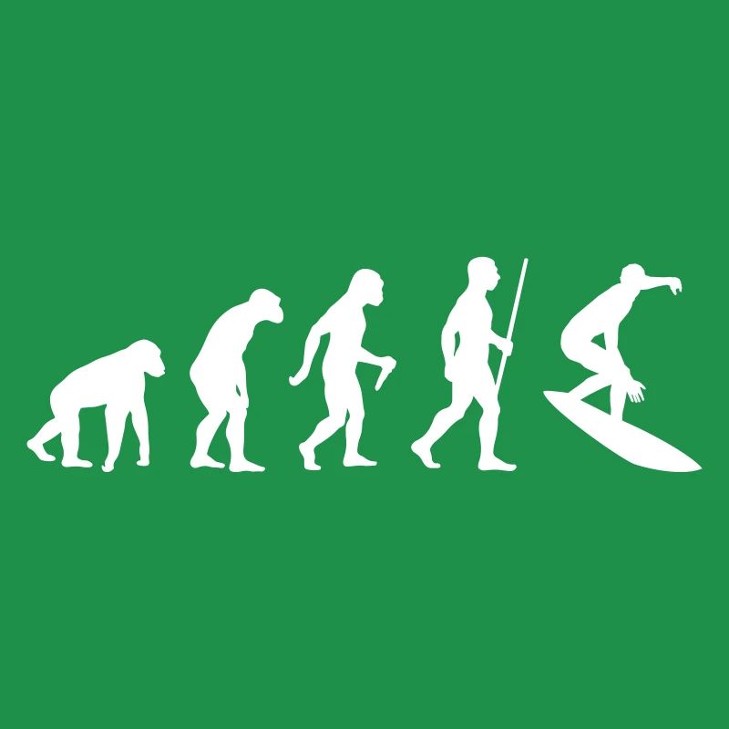 Surfer Evolution
