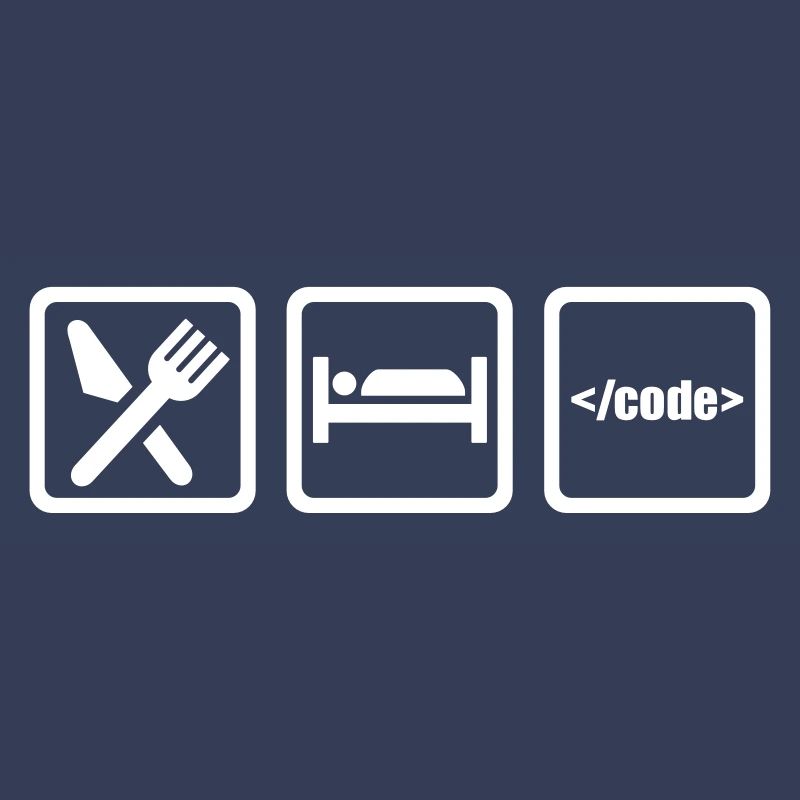 Programmer
