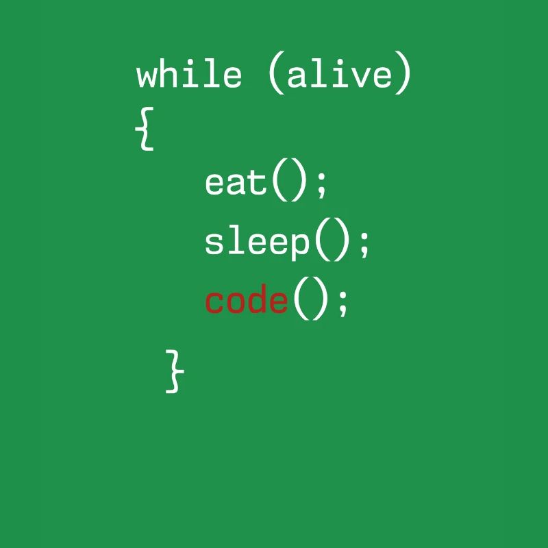 Administrateur Coding Geek Programmeur