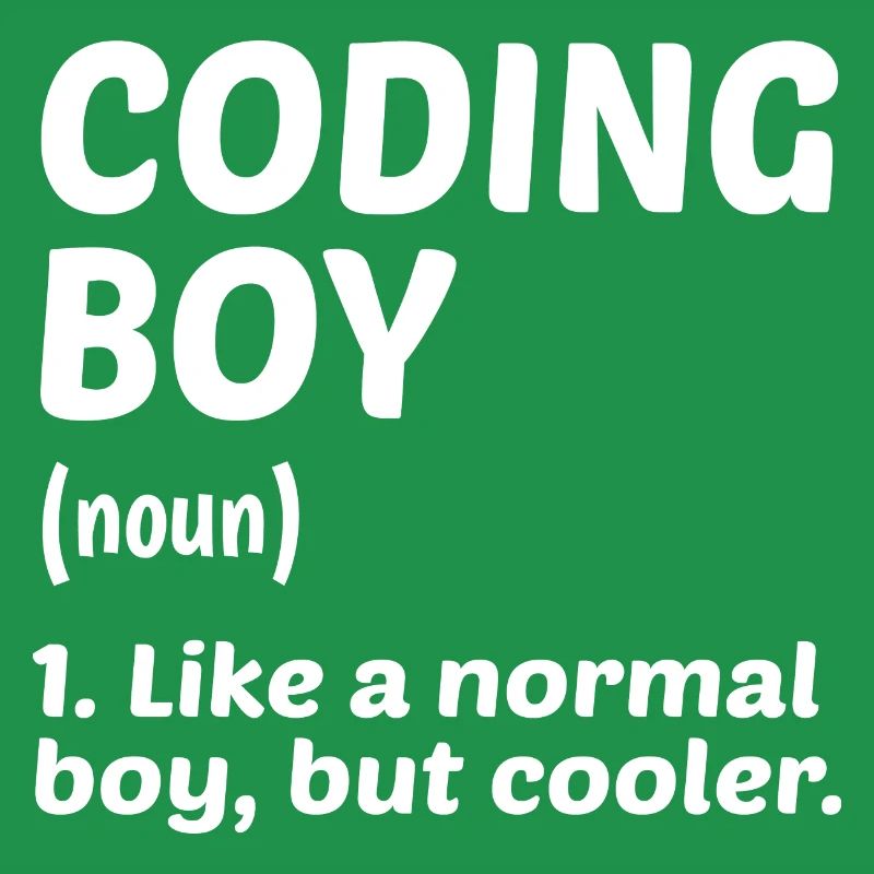 Coding Boy Definition Noun Software Developer Prog