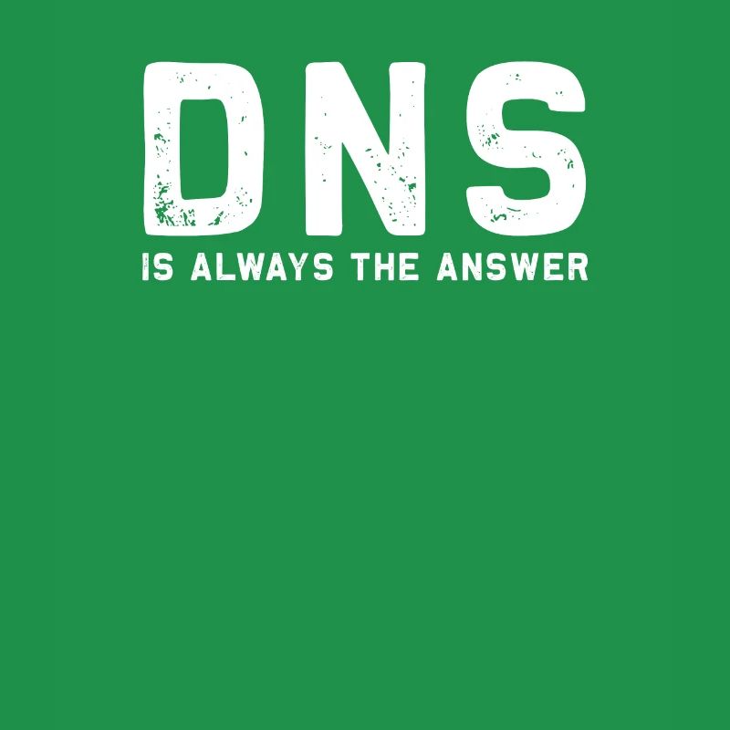 "DNS is always the answer" System Engineering