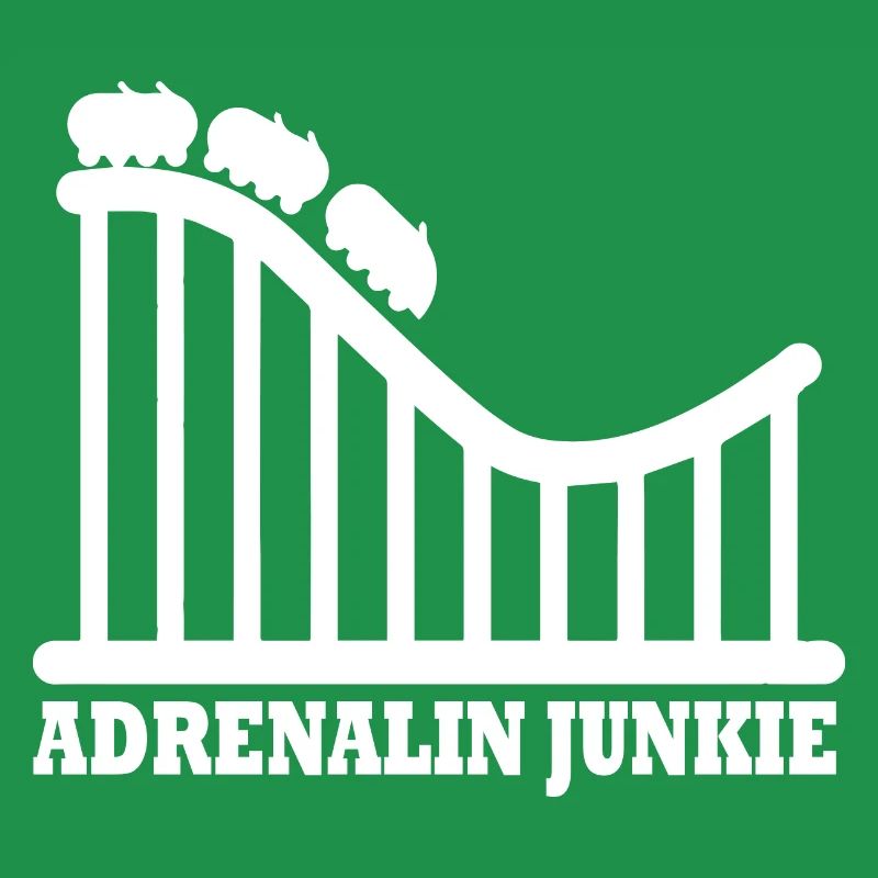 Rollercoaster Achterbahn Freizeitpark