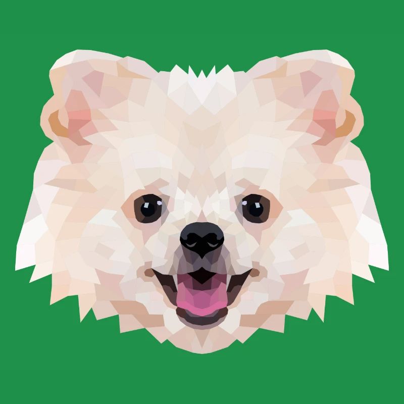 Polyart Dwarf Spitz