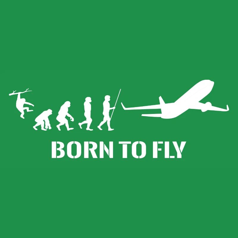 Airplane Evolution Pilot Flying Flying