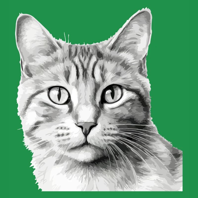 Bli le chat