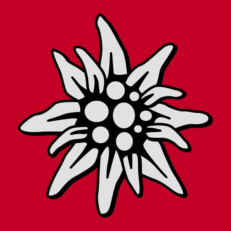 Edelweiss 2c klein