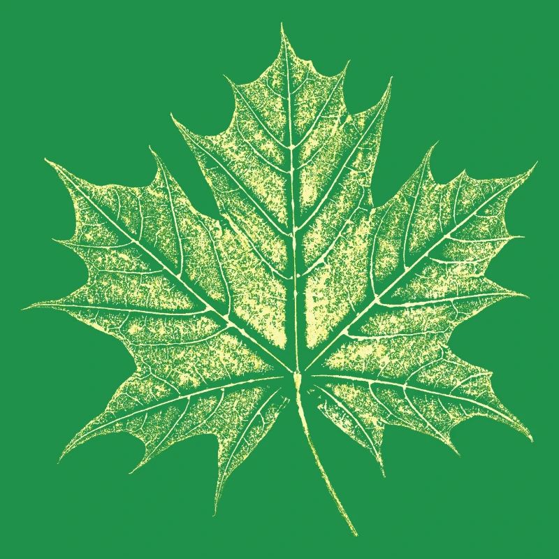 Maple Leaf / Botany - Natural