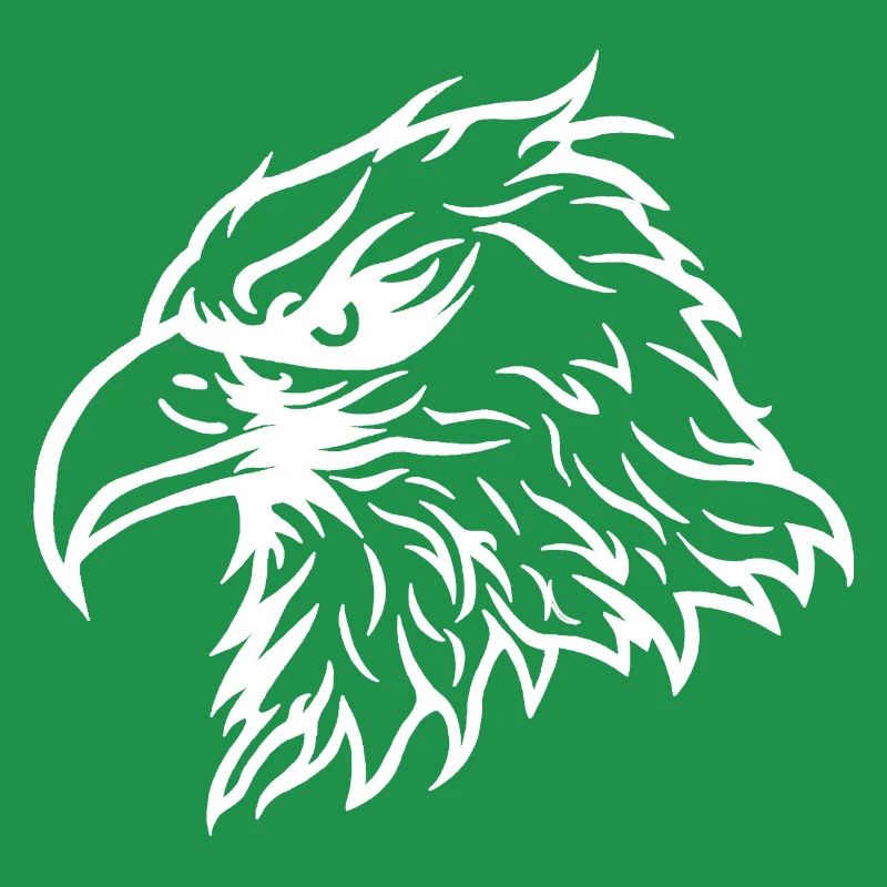 Cool Bald Eagle Eagle