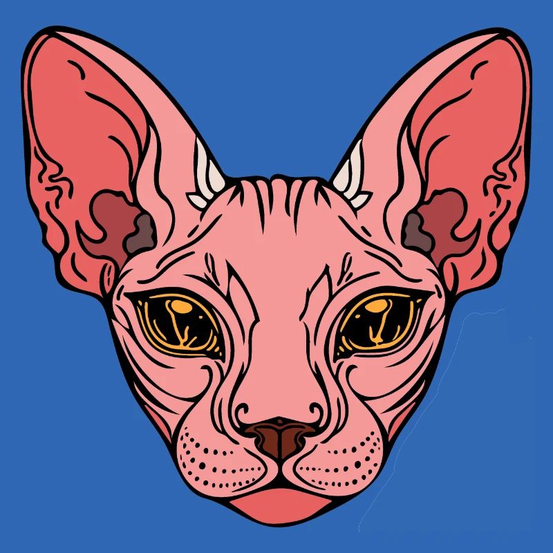 Sphinx Cat