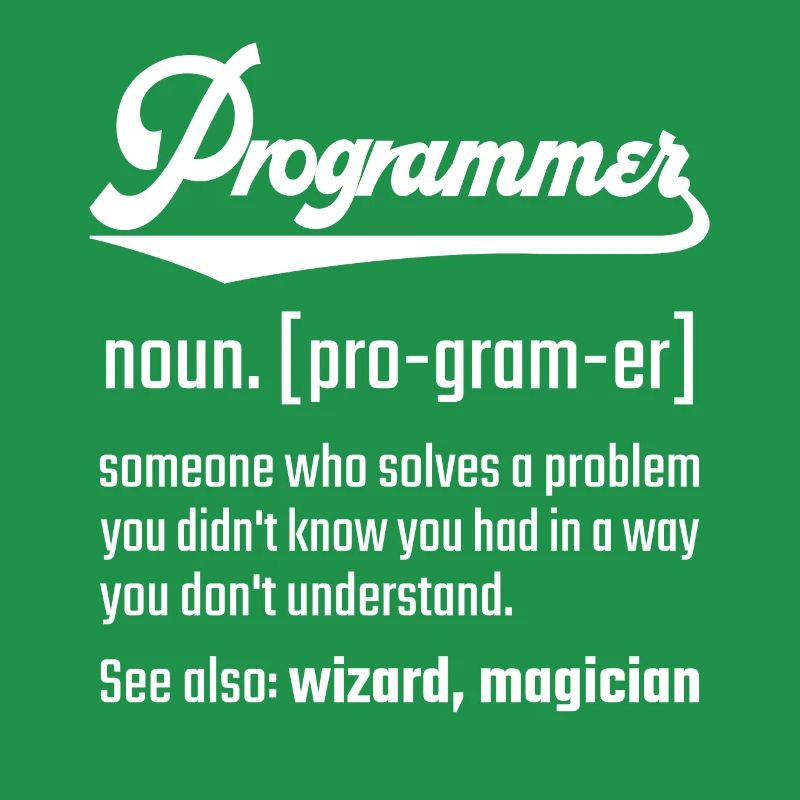 Programmer programmer noun noun definition