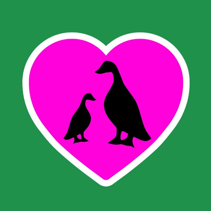 Canards