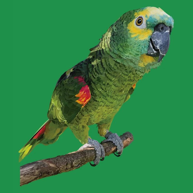 The blue-fronted amazon