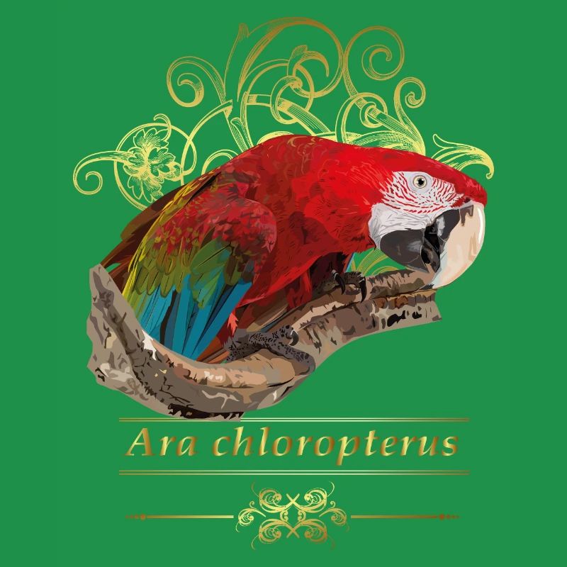 red macaw