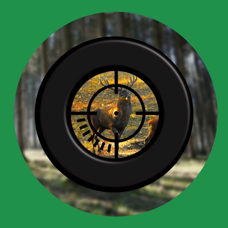A deer through the scope