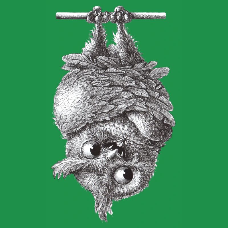 Vampir Eule - Dracula Eule