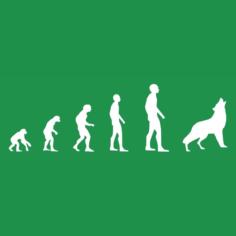Wolf – Evolution