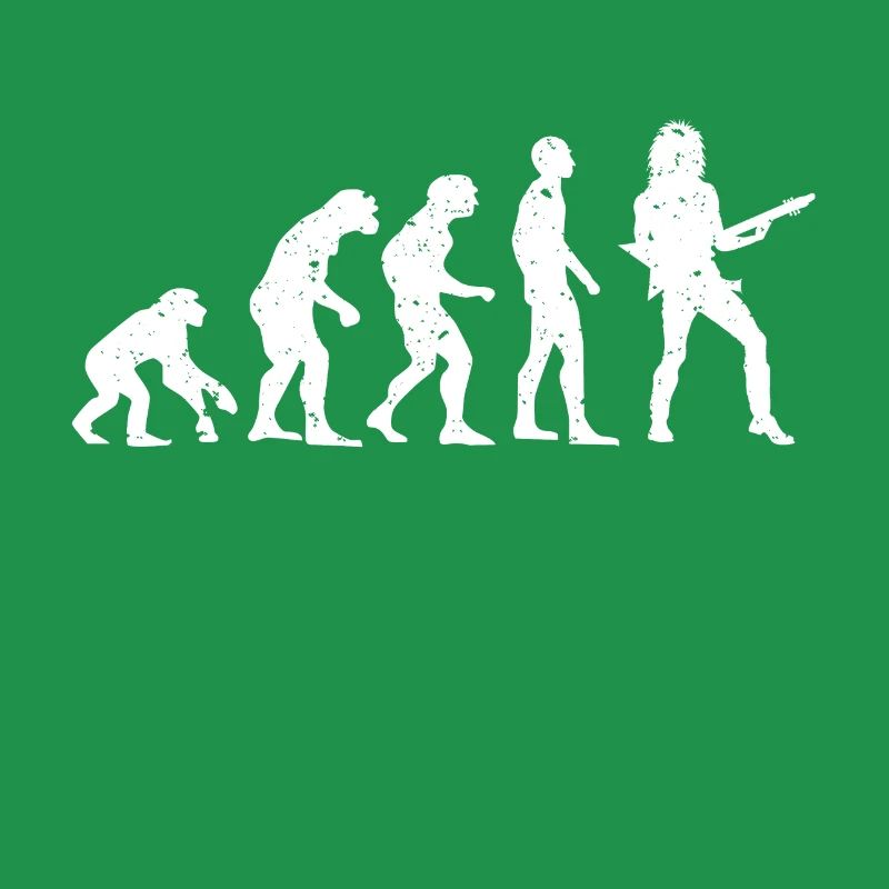 EVOLUTION GITARRIST!