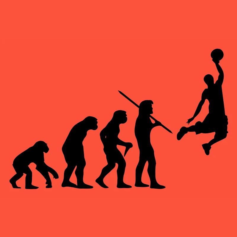 Evolution de basket-ball