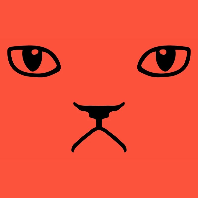 chat pas content grumpy kitty cat