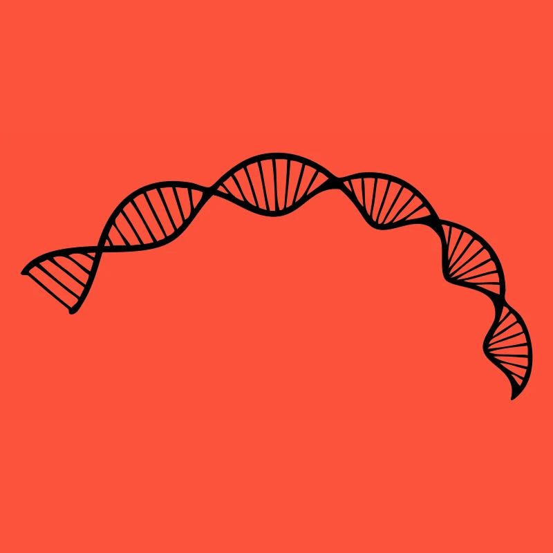 ADN Structure de la double hélice séquence cellule