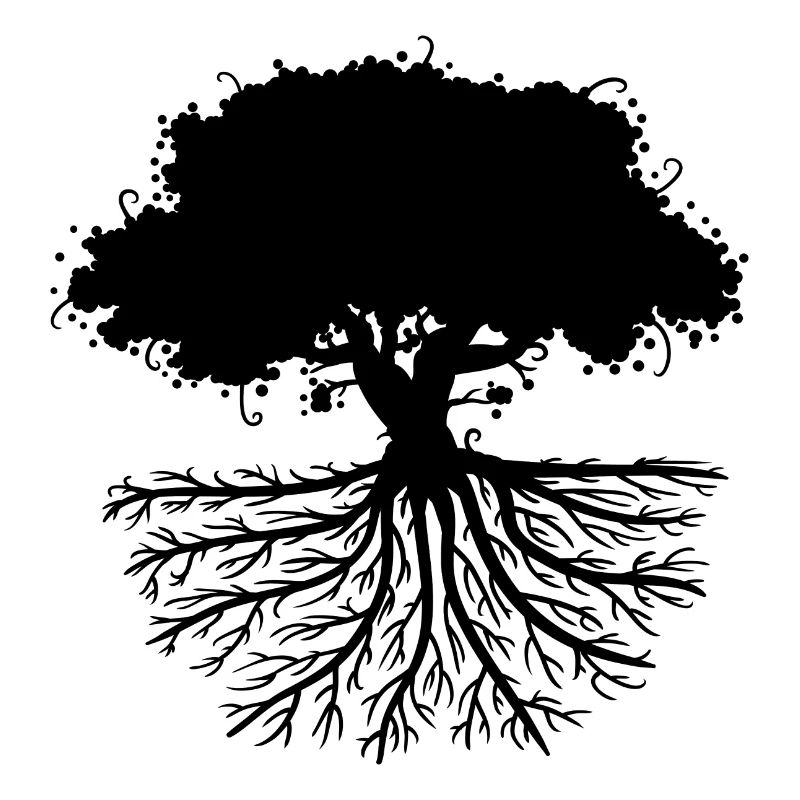 tree roots black