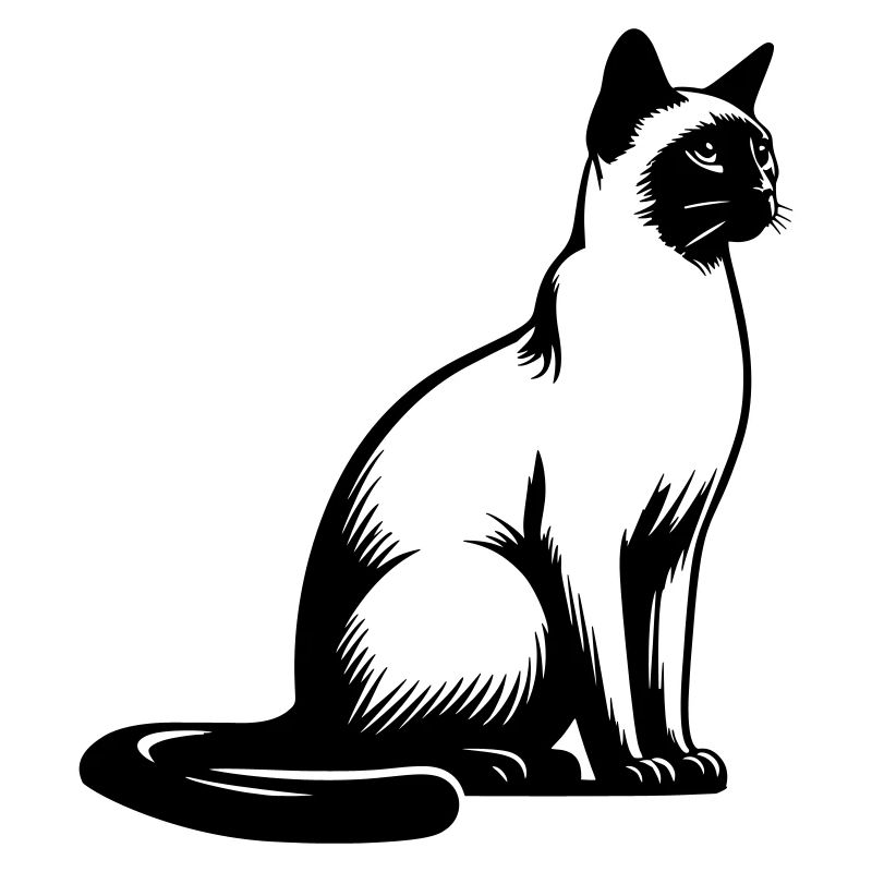 Siamese cat