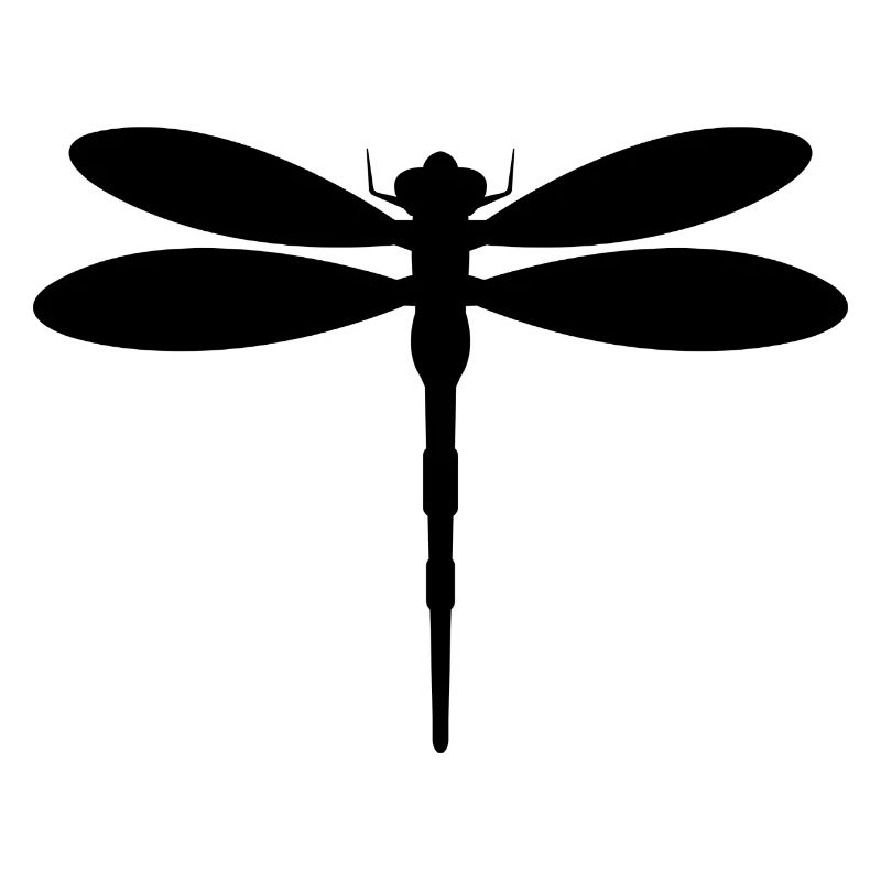 Libellule