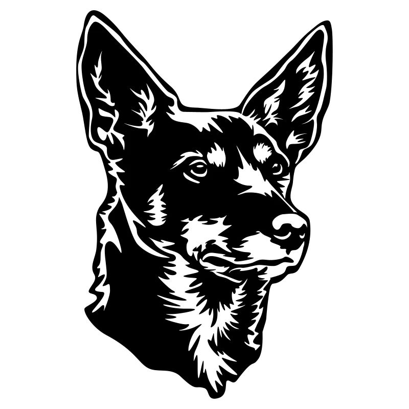 Tête de kelpie australienne
