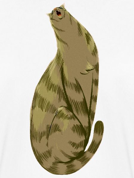 Squishy Olive