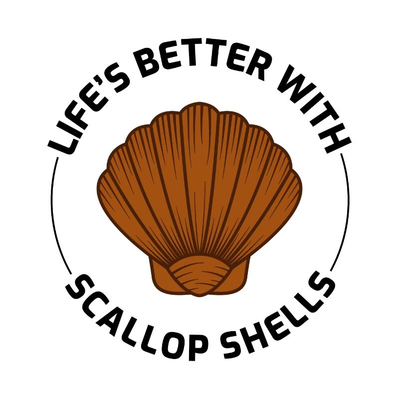 Scallop Seashells Collector Beachcomber Shellfish