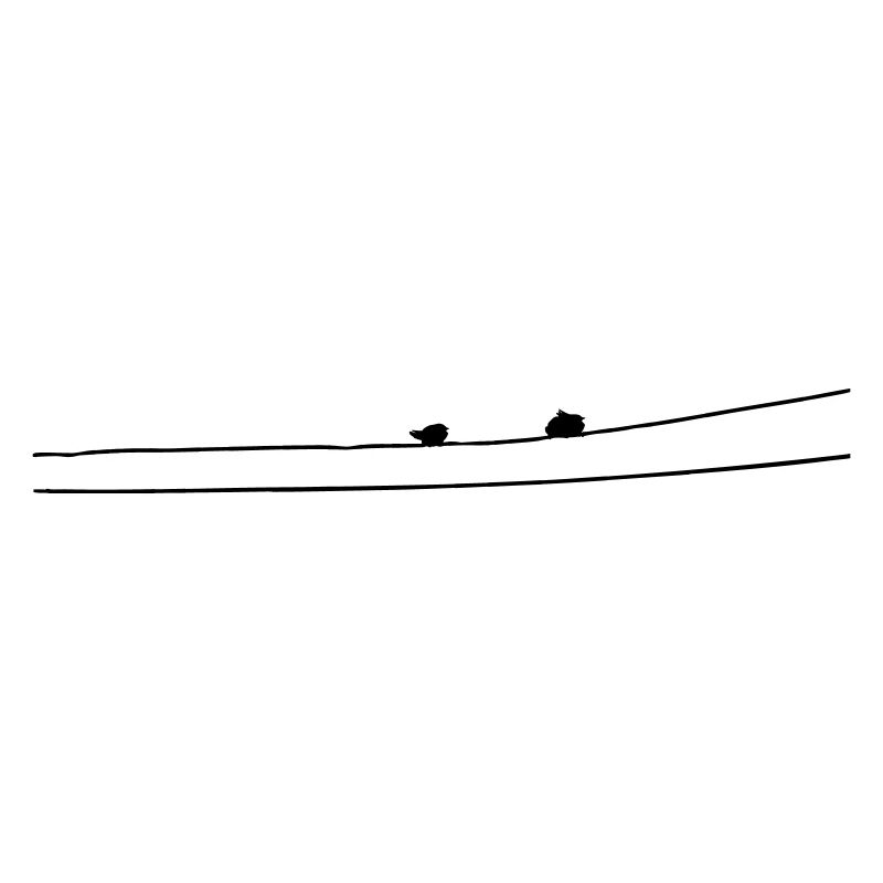 Oiseaux
