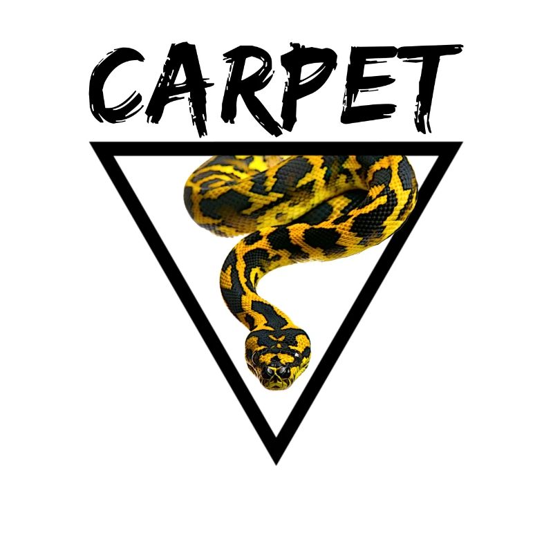 Tapis Python Geometric Snake Owner