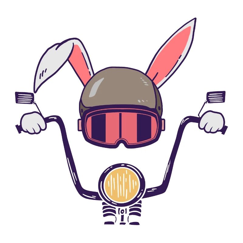 Rabbit biker motorcyclist