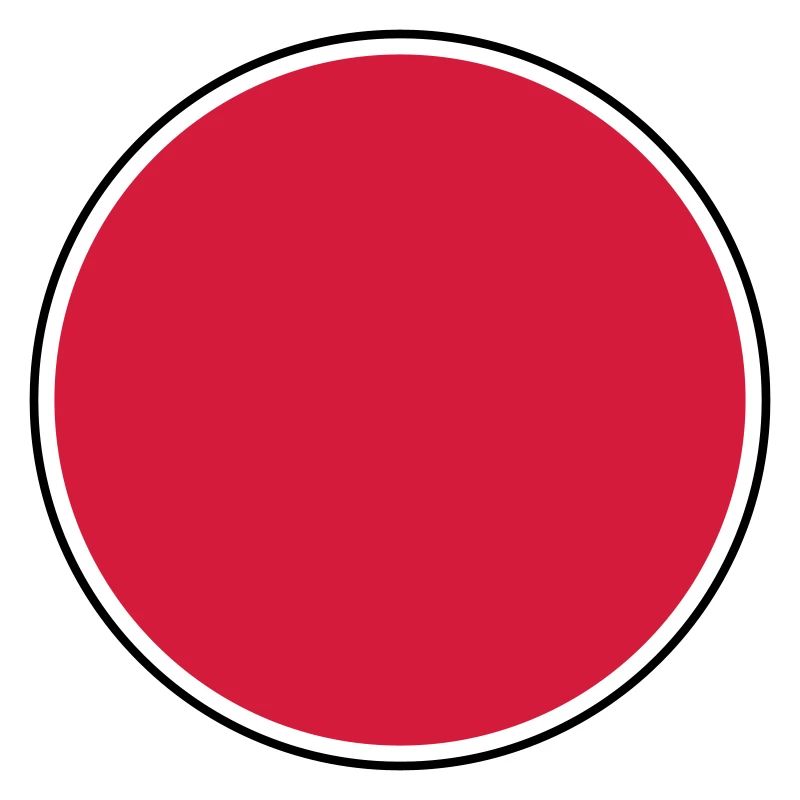 Circle icon