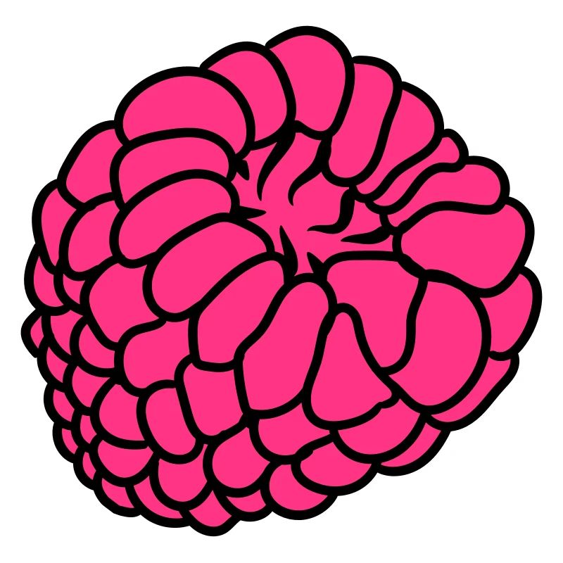 raspberry berries
