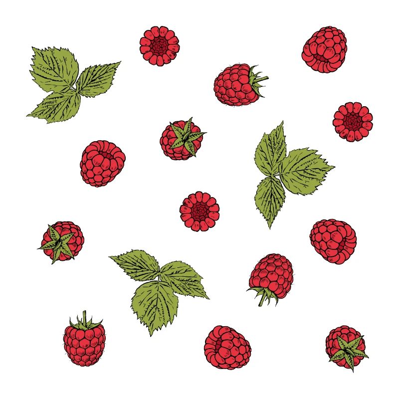 For raspberry lovers: delicious raspberry pattern