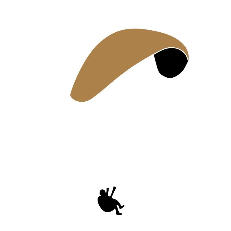 Paraglider