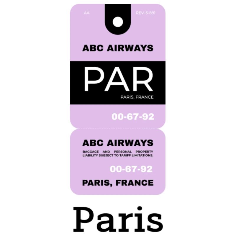 Paris Flight Ticket