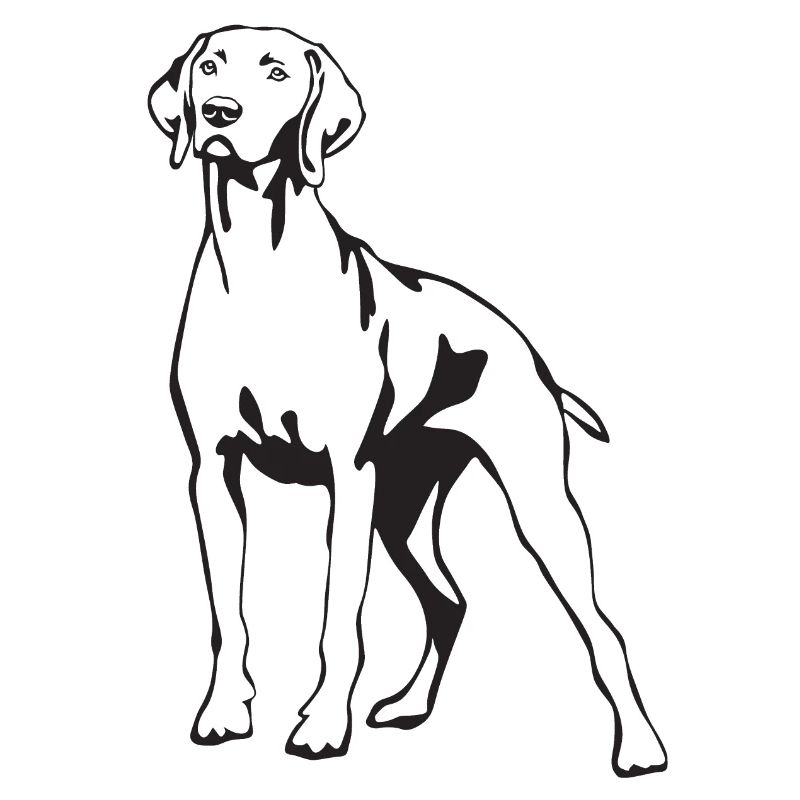 Rhodesian Ridgeback cadeaux amateur de chiens RR
